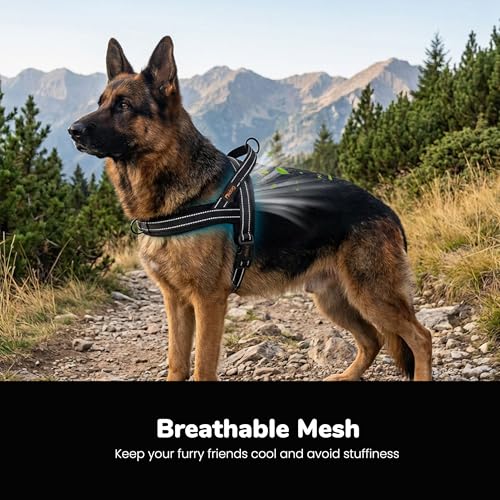 Didog No Pull Dog Harness with Breathable Mesh Padded,Reflective & Quick Fit Light Weight Dog Strap Vest Harness,Easy for Walking Training (L:Chest 26-32", Mesh-Black) - color: Black, size: L: Chest 26-32", Fit 50-80 lbs