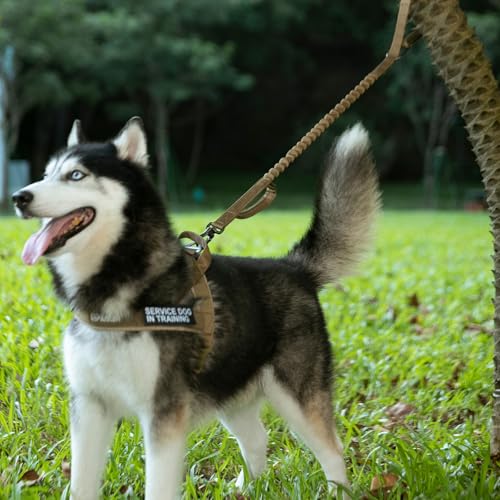 Excellent Elite Spanker Tactical Bungee Dog Leash Military Adjustable Dog Leash Quick Release Elastic Leads Rope with 2 Control Handle(Ranger Green) - color: Ranger Green