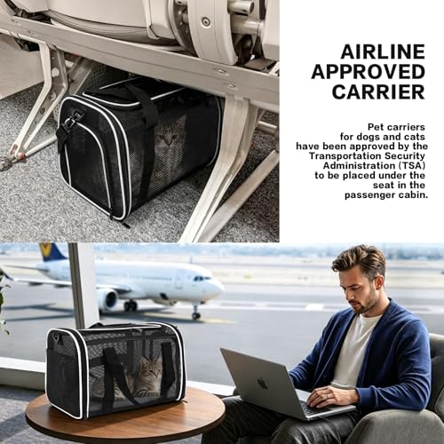 Cat Carrier Dog Carrier Pet Carriers Soft-Sided Cats Bag Animal Carriers Puppy Carrying Bag TSA Airline Approved Small Dog Carrier Soft Sided, Collapsible Travel Carriers for Big Cats(Up to 16lbs), - color: white, size: 17*11*11