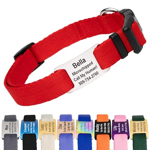 GoTags Personalized Dog Collar with Nameplate, Adjustable Dog Collar with Custom Engraved Steel Slide On Pet ID Tag, Silent, No Noise Dog Tag 66 Color Options (Classic, Medium) - color: Classic, size: Medium (Pack of 1)