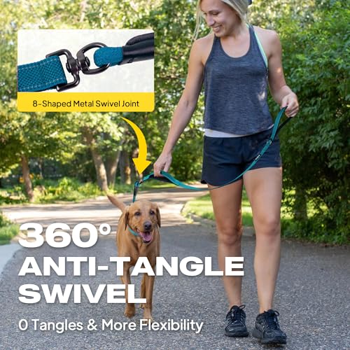 Fida 2-in-1 Slip Leads for Dogs with Double Handles, Tangle Free Leash for Large Dogs that Pull, Heavy Duty No Pull Training Leash Reflective Soft Padded for Large & Medium Breed(6ft,Blue) - color: Blue