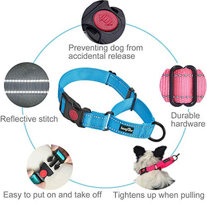 haapaw Martingale Dog Collar with Quick Release Buckle Reflective Dog Training Collars for Small Medium Large Dogs - color: Blue, size: L