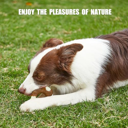 Durable Nylon Dog Bones, 2 Pack Dog Toys for Aggressive Chewers, Beef-Flavored U-Shaped Bone Chew Toys for Largel/Medium/Small Dogs, Teething and Boredom Relief - size: Large+Medium