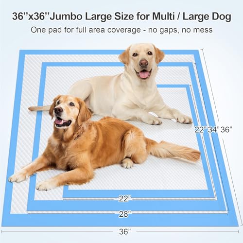 Upgraded 4XL 36"x36" 6 Layers Dog Pee Pads, Ultra Absorbent Pee Pads, Absorb up to 12 Cups, Leak-Proof & Quick Dry Puppy Pads for Puppy,Surgery, Older,Cats, Rabbits,30 Counts - size: 36"x36" Blue