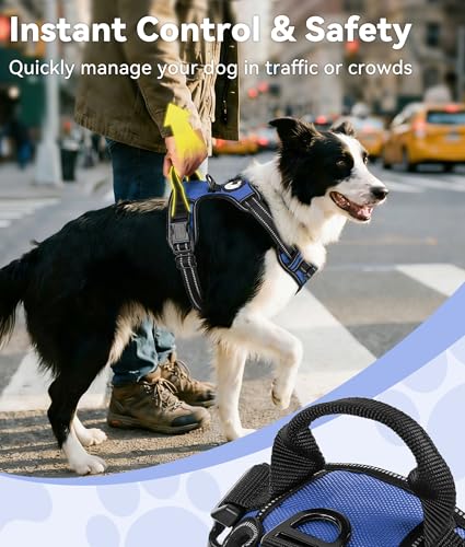 Joytale No Pull Dog Harness Medium Sized Dog, Reflective Pet Vest with Front Clip, Adjustable Soft Padded Harnesses with Easy Control Handle for Training and Walking, Navy Blue, M - color: Navy Blue, size: Medium