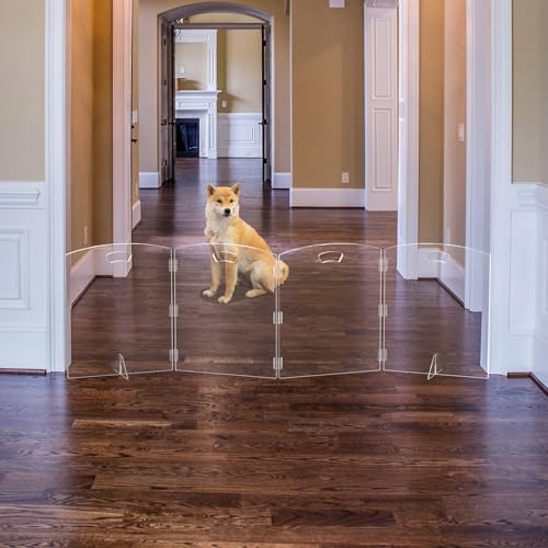 Clear Freestanding Dog Gate for Indoor Use,Pet Gates for Doorways no Drilling,Acrylic Foldable Dog Gate for Stairs with Support Feet (4 Panel - 80''W x 23''H) - size: 4 Panel - 80''W x 23''H