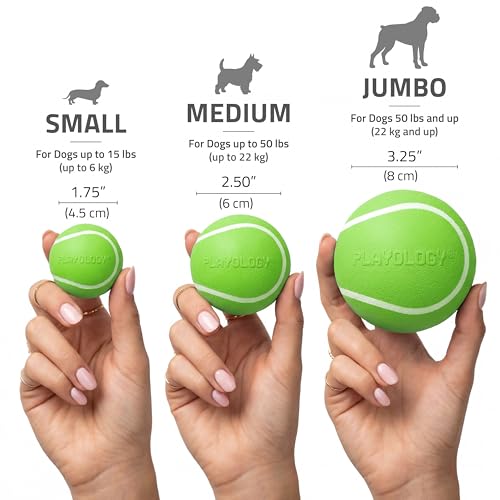 Playology Dog Toys | Squeaky Chew Ball for Dogs | Sweet Potato Scented Medium Dog Ball | Bouncy Floating Chew Toys for Fetch - size: Medium, style: Sweet Potato