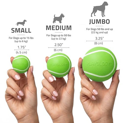 Playology Dog Toys | Squeaky Chew Ball for Dogs | Sweet Potato Scented Medium Dog Ball | Bouncy Floating Chew Toys for Fetch - size: Medium, style: Sweet Potato