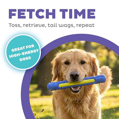 Outward Hound FlyFetch Stick Dog Toy, Durable Natural Rubber, Lightweight, All Breeds, 10.4" - color: Stick Purple