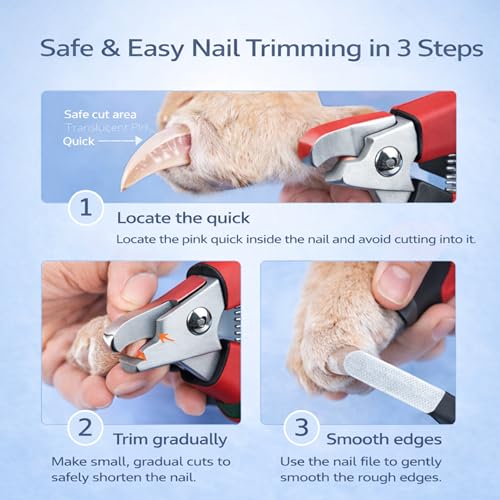Dog & Cat Nail Clippers & Trimmers - Extra Sharp Dog Clippers with Stainless Steel Blades & Safety Guard to Avoid Overcutting - Ergonomic Cat Nail Clippers with Non-Slip Grip & Lock Feature - color: Red