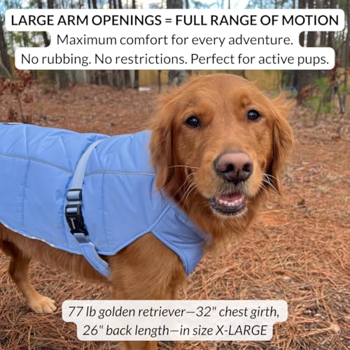 DJANGO Insulated Puffer Dog Jacket with Harness Hole – Warm, Water-Repellent Winter Dog Coat for Small Dogs, Dachshunds, Puppies – Adjustable, Reflective Cold Weather Dog Apparel – Dusk Blue, Medium - color: Dusk Blue, size: Medium