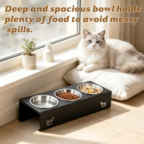Elevated Cat Food Bowls [3 Pack] - 15° Tilted Stainless Steel, Anti-Vomit Raised Pet Feeder with Non-Slip Base, Ergonomic Whisker-Friendly Bowl Set for Indoor Cats & Kittens - size: Stainless Steel-3 Bowls