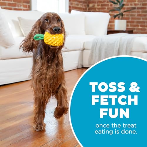 Outward Hound Dental Pineapple Dog Toy & Treat Stuffer, 6.8″ x 3.3″ Pineapple-Scent Interactive Chew for Dogs, Promote Healthy Teeth, Gums & Mental Enrichment, Reduce Boredom & Support Dental Health - color: Pineapple