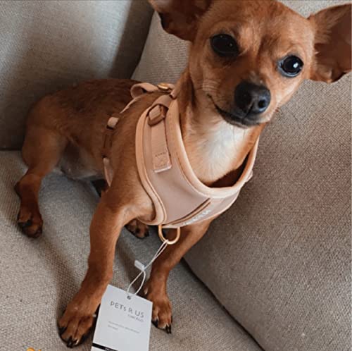 Premium No-Pull Dog Harness Soft Neoprene & Breathable Mesh Vest with Front & Back Clip D-Rings Adjustable Lightweight Walking Harness for Puppies, Small & Medium Dogs (Rose Beige, XXS) - color: Rose Beige, size: XXS: Neck=9.1-13'', Chest=10.6-14.6''