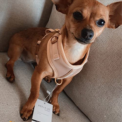 Premium No-Pull Dog Harness Soft Neoprene & Breathable Mesh Vest with Front & Back Clip D-Rings Adjustable Lightweight Walking Harness for Puppies, Small & Medium Dogs (Rose Beige, XS) - color: Rose Beige, size: XS: Neck 10.6-14.2'', Chest 14.2-18.9''