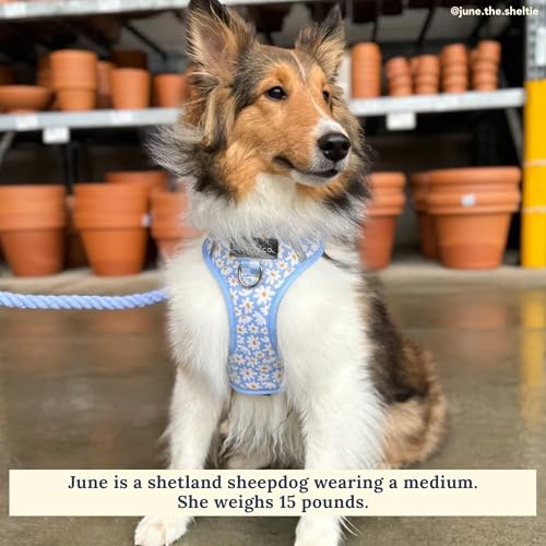Lucy & Co. The Simply Splendid No-Pull Dog Harness - Size X-Large - Vest to Stop Pulling & Walk Easy - Comfortable Leash Training Product w/Adjustable Chest & Neck Straps - color: The Simply Splendid No-Pull Harness, size: X-Large
