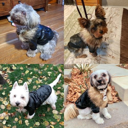 LESYPET Dog Leather Jacket for Small Dogs, Waterproof Dog Winter Jacket Puppy Coat with Fleece Lined, Ultra Warm Fur Collar Doggie Coat, Red S - color: Wine Red, size: Small