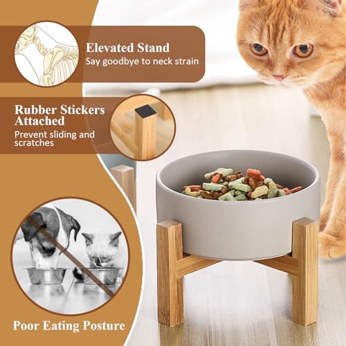 Elevated Ceramic Cat Bowl - Cat Food Bowl with Bamboo Stand - Raised Dog Dish for Puppies - Anti Vomiting, Stress Free - 13.5 oz / 400 ml - White - color: White, size: Small