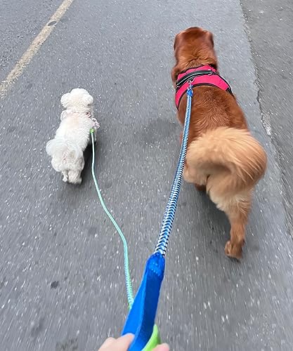2/3/4/6/10 Foot Reflective Dog Leash Heavy Duty Strong Nylon Rope Braided for Large Medium Small Dogs Walking Training Leads (Blue, 6ft * 1/2") - color: Blue, size: 6ft * 1/2"