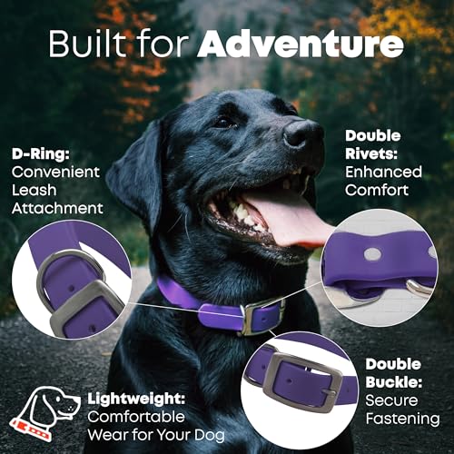 Regal Dog Products Medium Purple Dog Collar with Heavy Duty Double Buckle & D Ring | Vinyl Coated, Custom Fit, Adjustable Biothane Dog Collar | Chew Resistant Waterproof Center-Ring Collar for Dogs - color: Purple, size: Medium