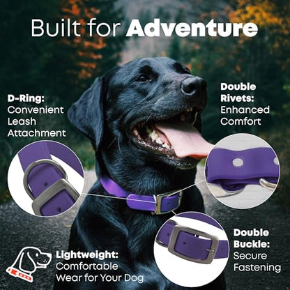 Regal Dog Products Medium Purple Dog Collar with Heavy Duty Double Buckle & D Ring | Vinyl Coated, Custom Fit, Adjustable Biothane Dog Collar | Chew Resistant Waterproof Center-Ring Collar for Dogs - color: Purple, size: Medium