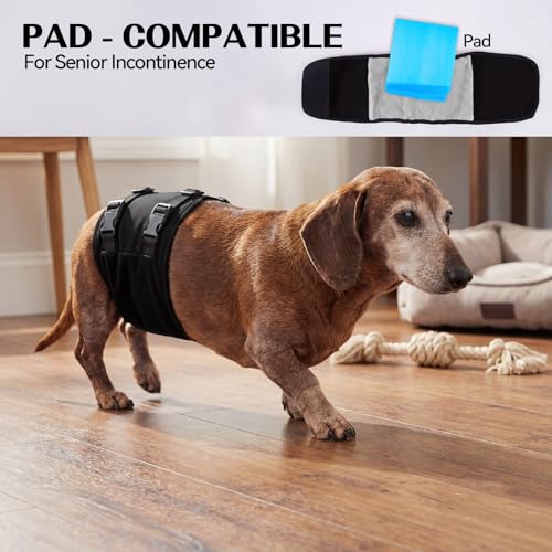 DENTRUN Male Dog Wrap - Machine Washable Post-Surgery Recovery & Heat Cycle Diaper, Prevents Licking, Mounting, Adjustable Belly Band, Marking Prevention Band, Leak-Proof Edges, Fast Drying - color: Black, size: L