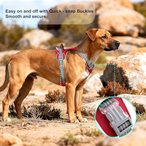 No Pull Dog Harness – Adjustable Reflective Nylon Vest for Small Medium Large Dogs, Escape Proof Training Harness with Leather Control Handle, Lightweight Aluminum Hardware (Red, S) - color: Red, size: S
