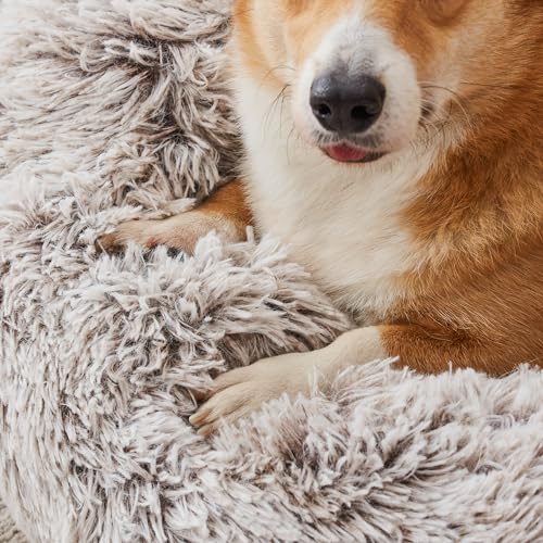 WESTERN HOME WH Calming Dog & Cat Donut Cuddler, Anti-Anxiety Warming Cozy Soft Round Bed, Fluffy Faux Fur Plush Cushion for Small Medium Dogs and Cats (20"/24"/27"/30") - color: White Khaki, size: 24.0"l x 24.0"w x 7.0"th