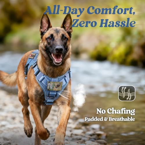 rabbitgoo Tactical Dog Harness Small Sized, No Pull Upgraded Reflective Heavy Duty Molle Vest with Handle, Adjustable Military Service Dog Vest for Walking Hiking Training, Blue, S - color: Blue Reflective, size: Small