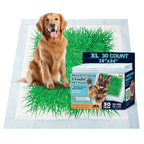 Big Dawg Pet Supplies Absorbent Puppy Pee Pads for Dogs & Cats – XL 28x34in Disposable Pet Pads – Handy Grab-n-Go Box – Potty Training & Housebreaking Supplies – Color, Grass – 30pc - size: X-Large