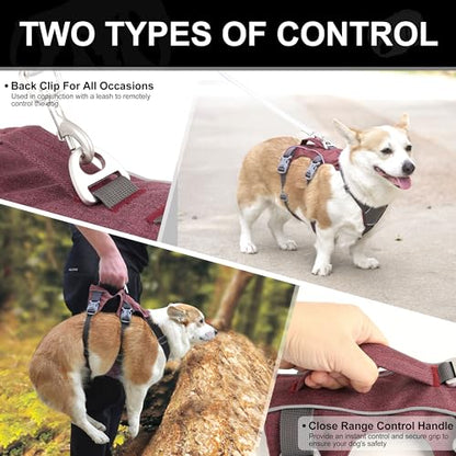 Escape Proof Dog Harness Small Sized Dog, Reflective No Pull Dog Vest with Handle, Lightweight Full Body Pet Harness Adjustable for Walking,Training(Maroon,Chest:16-27") - color: Maroon, size: S: Chest 16-27", Fit 12-25 lbs