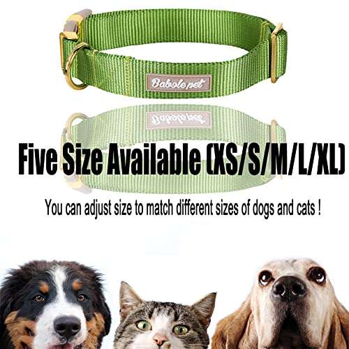 Nylon Dog Collar - Adjustable Green Soft Webbing Dog Collars for Small Medium Large Dogs Boy Girl Puppy Collar with Safety Metal Buckle XS - color: Nylon-Green, size: XS