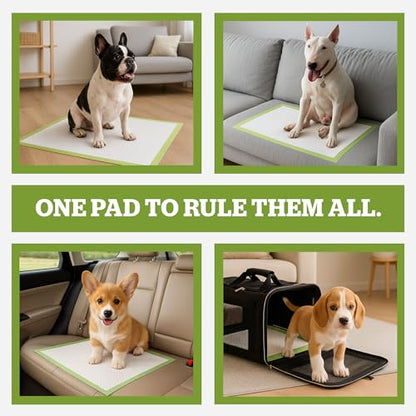 Pogi’s Dog Pads with Sticky Tabs – Large, Super Absorbent, Odor Blocking, 20-Count (24x24in) - size: Large - 24 x 24"
