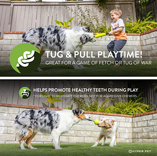 Hyper Pet Grab Tabs EVA Fetch Stick and Fetch Ball with Nylon Tabs Fetching Dog Toys That Floats in Water Combo Pack