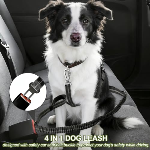 Dog Leash Heavy Duty, 4-6FT Bungee Leash Strong Shock Tactical Tug Leashes, Dog Seat Belt for Car with 2 Padded Handles, Reflective Rope Lead for L X-Large Dogs Walking Running Training (Black)