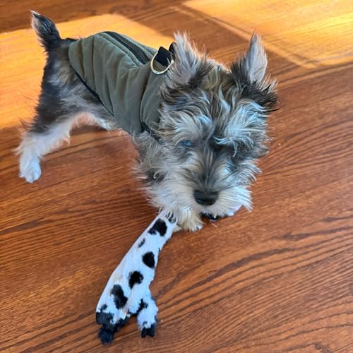 SPOT Skinneeez Crinklers Cow - Stuffing-Free Dog Toy with Crinkle & Squeaker Sounds, Durable for Moderate Chewers, Tug Toy for Small Dogs & Puppies, 14in - style: Small Cow