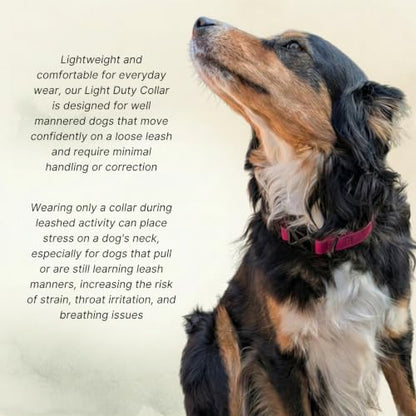DogTraxs Light Duty Biothane Dog Collar, Lavender Purple, 1" W x 23-26" L | Extra Large Dogs, Waterproof, Quick Release Adjustable Buckle - color: Lavender Purple, size: 1" x 23-26"