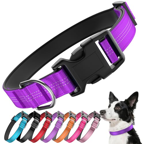 Reflective Dog Collar with Buckle, Heavy Duty Dog Collars with Soft Padded, Adjustable, Ultra-Durable, Pet Collar for Small Medium and Large Dogs (Purple, S) - color: Purple, size: S (12-18'')