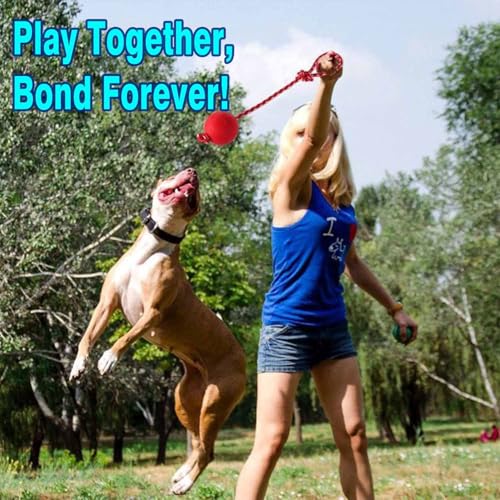 3 Pack Heavy Duty Dog Rope Toys for Breed Aggressive Chewers, Treat Balls and Dog Squeaky Toy for Puppies & Small Dogs