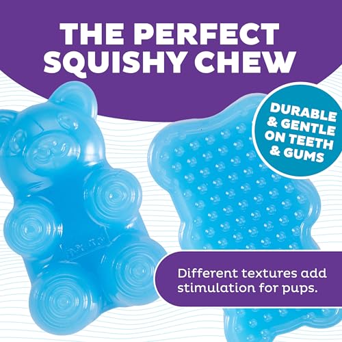 Outward Hound Gummiez Bear Dog Toy & Treat Stuffer, 4.7″ x 3″ Blue Raspberry-Scent Interactive Chew for Dogs, Promote Healthy Teeth, Gums & Mental Enrichment, Reduce Boredom & Support Dental Health - color: Bear