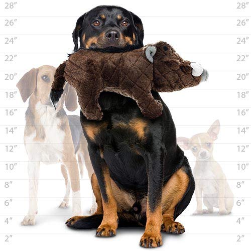 MIGHTY Tuffy 2 Pack Warthog Dog Toys | Ultra Durable Plush Toy with Multiple Layers & Reinforced Seams , Washable and Floats , Mighty® Construction - color: 2PK Brown Warthog