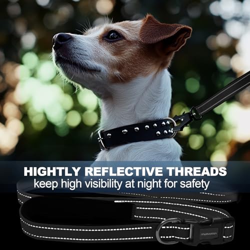 Heavy Duty Hands Free Dog Leash with Quick Release Carabiner and Adjustable No Pull Bungee Dog Running Waist Leash，for Walking and Training with Car Seat Belt 4-6FT (Black) - color: Black