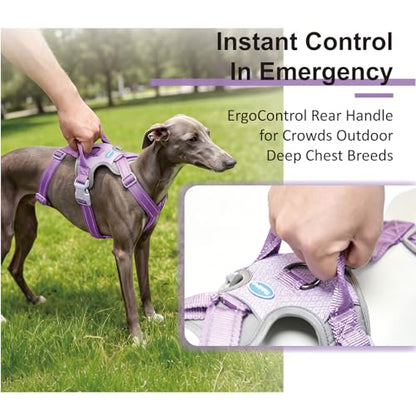 ThinkPet Flexfit 3-Strap Escape Proof Dog Harness, No Pull Front Clip 2-in-1 Vest with Control Handle, 360° Reflective Breathable Adjustable Harness for Greyhound Whippet Vizsla, Small, Purple - color: Purple, size: Small