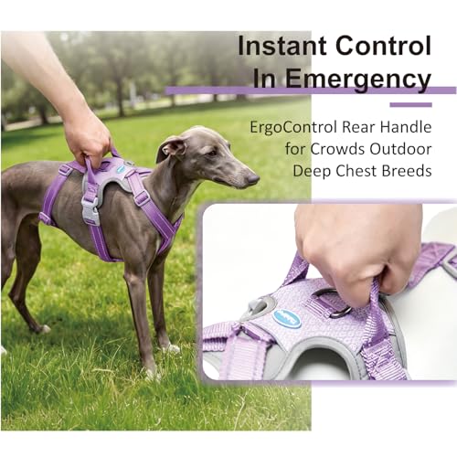 ThinkPet Flexfit 3-Strap Escape Proof Dog Harness, No Pull Front Clip 2-in-1 Vest with Control Handle, 360° Reflective Breathable Adjustable Harness for Greyhound Whippet Vizsla, Medium, Purple - color: Purple, size: Medium