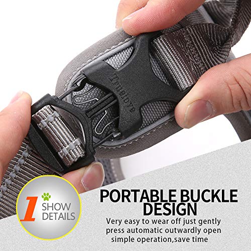JUXZH Truelove No Pull Dog Harness with Easy Control Handle and 2 Leash Attachments,Reflective Adjustable Pet Vest - color: Gray, size: Medium (Pack of 1)