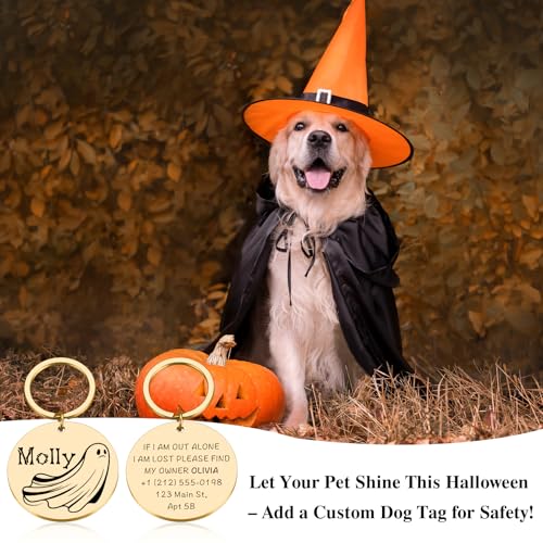 Personalized Halloween Ghost Dog Tag–Custom Engraved Pet ID Nameplate for Dogs and Cat–Ghost Shape Tag with Pet Name on Front and Address Phone on Back–Cute Spooky Halloween Collar Accessory(Style 3) - style: Style 3