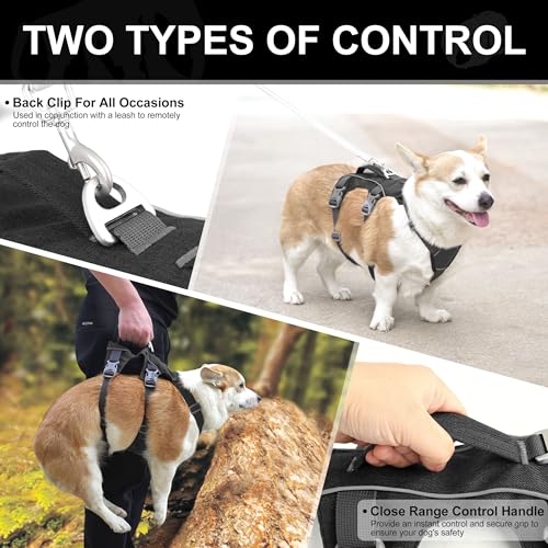 Escape Proof Dog Harness Small Sized Dog, Reflective No Pull Dog Vest with Handle, Lightweight Full Body Pet Harness Adjustable for Walking,Training(Black,Chest:16-27") - color: Black, size: S: Chest 16-27", Fit 12-25 lbs