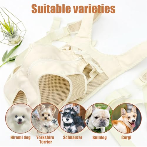 Dog Backpack Carrier, Adjustable Legs Out Front Pet Carrier for Small Medium Dogs, Breathable Mesh Hands-Free Puppy Travel Bag for Hiking Camping Biking Walking, (Cream L) - size: 14.5"L x 11.6"W x 0.7"H