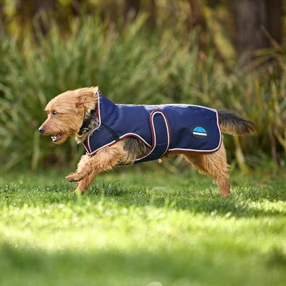WeatherBeeta ComFiTec Premier Deluxe Waterproof Dog Coat, Navy/Burgundy, 12" - color: Navy/Burgundy, size: 12"