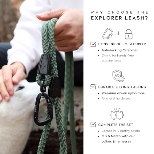 MADE TO ROAM Premium Explorer Leash - Climbing Rope Leash with Autolocking Aviation Aluminum Carabiner - Washington Rain, 4ft - color: Washington Rain, size: 4 Feet